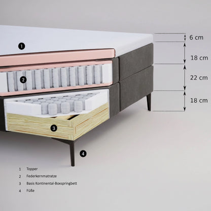 Kontinental-Boxspringbett BARON TFK22 Single